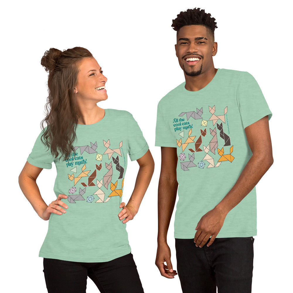 Cool Cats Play Math t-shirt heather mint